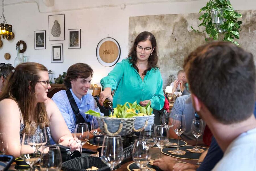 Lisbon: Sintra, Coast and Wine Small-Group Day Tour - The minivan makes a nine-hour day easier
