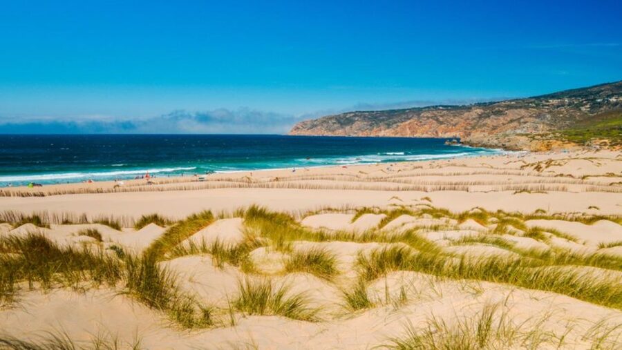 Lisbon: Sintra, Pena, Cabo da Roca Coast & Cascais Day Tour - The guide and vehicle make a real difference