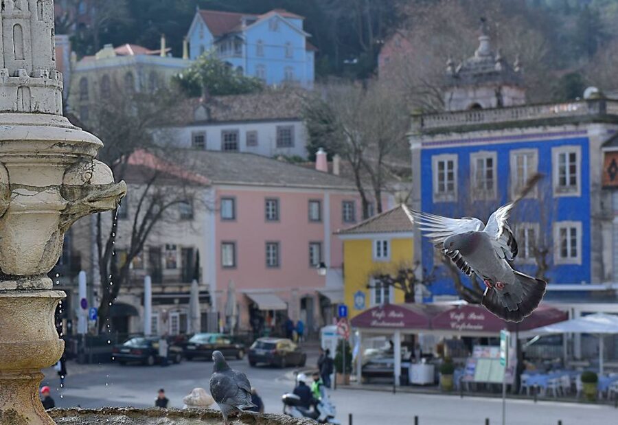 Lisbon: Sintra, Pena Palace, Quinta Regaleira, Cascais Tour - Pena Palace and its hilltop views