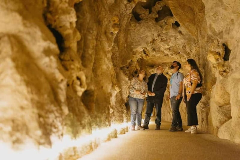 Lisbon: Sintra Tour with Optional Regaleira & Pena Gardens - What the guides add