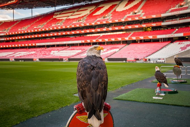 Lisbon SL Benfica Stadium & Museum Tour with Scarf - Inside the Cosme Damião Museum