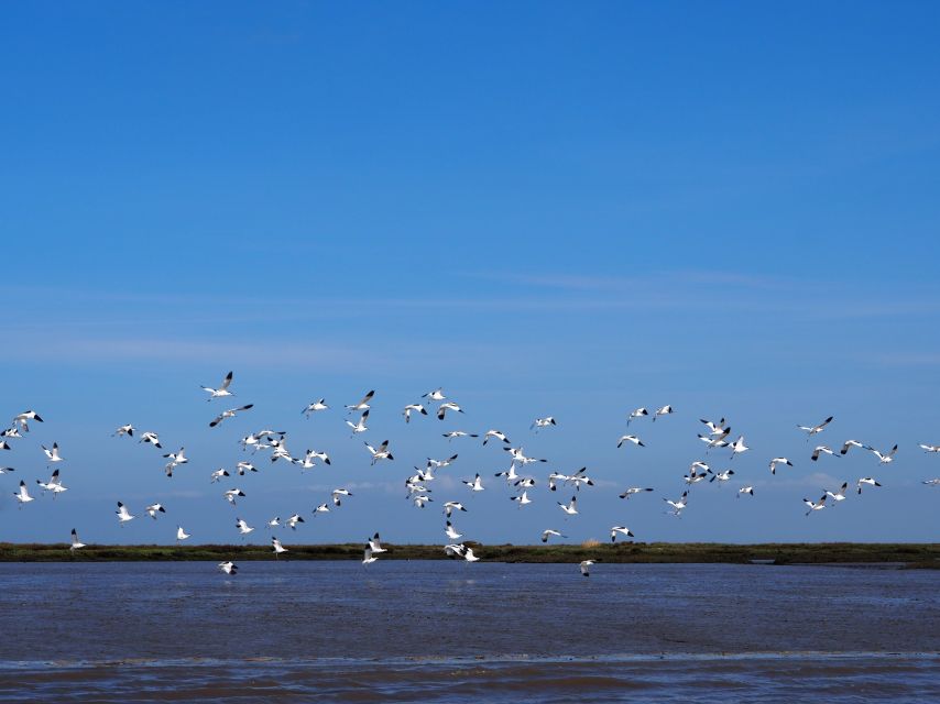 Lisbon: Tagus Estuary Nature Reserve Birdwatching Boat Tour - Entering the 14,000-hectare reserve