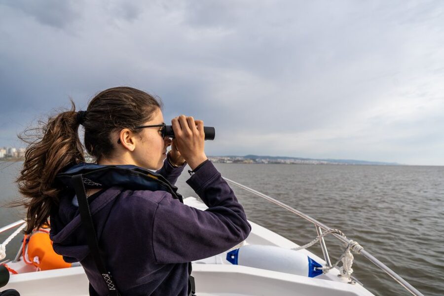 Lisbon: Tagus Estuary Nature Reserve Birdwatching Boat Tour - The best season and the role of the tide
