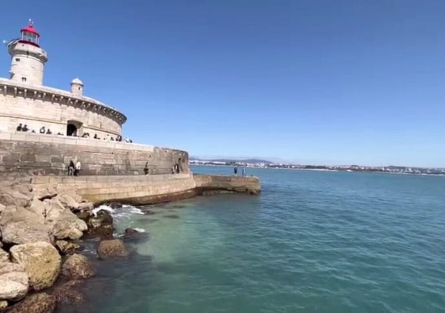 Lisbon: Tagus River Cruise to the Ocean & Dolphin Watching - Boat choice, comfort, and the open bar