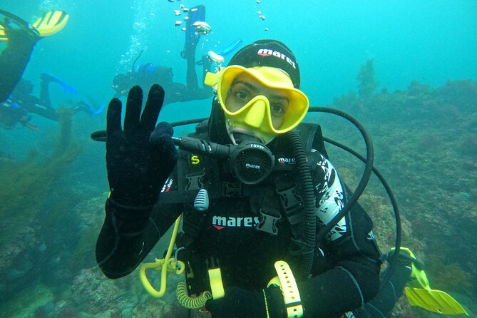 Lisbon: Try Scuba Diving in Arrabida Marine Reserve with photos - Getting to the Arrábida Marine Reserve from Sesimbra