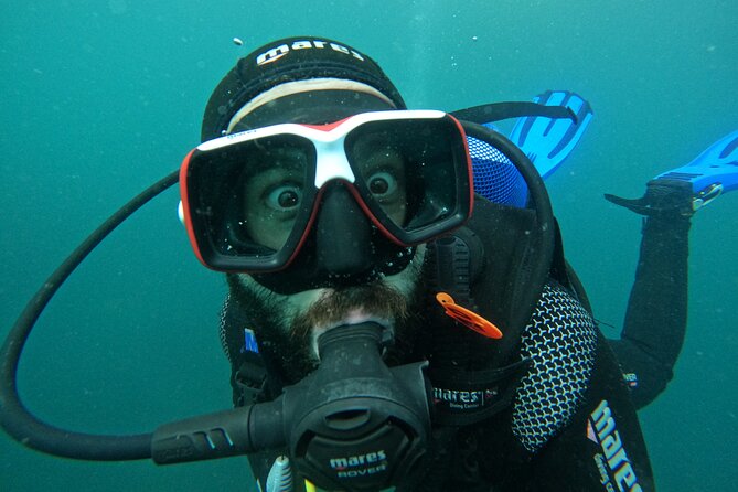 Lisbon: Try Scuba Diving in Arrabida Marine Reserve with photos - Is $108.84 a fair price?
