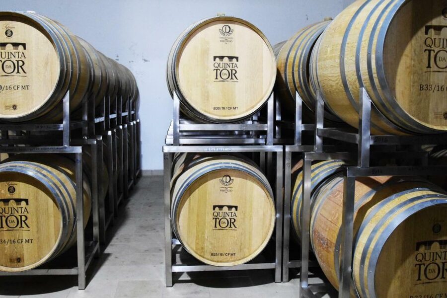 Loulé: Quinta da Tôr Winery Guided Tour and Wine Tasting - Tasting four wines after the tour