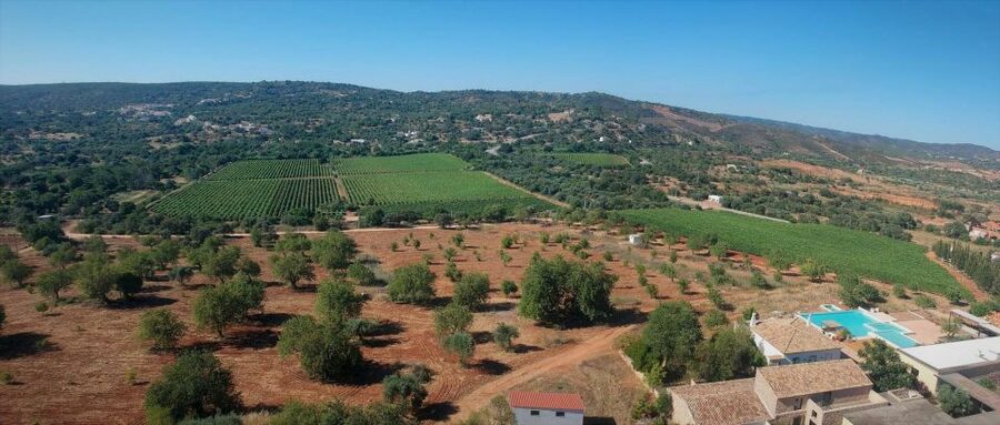 Loulé: Quinta da Tôr Winery Guided Tour and Wine Tasting - Bread, olive oil, and optional food