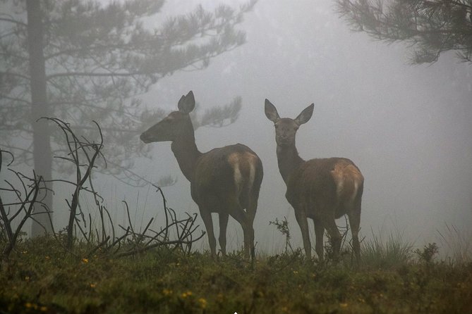 Lousa Mountain Private Tour - Key points to know before booking