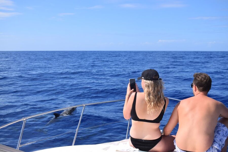 Madeira: 2.5-Hour Whale and Dolphin-Watching Cruise - The crew’s personal touches