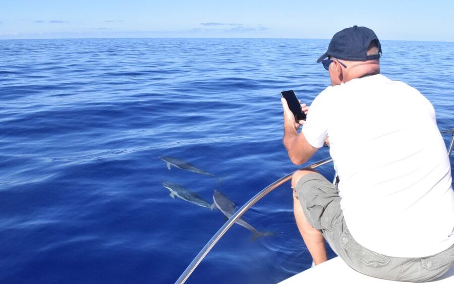 Madeira: 2.5-Hour Whale and Dolphin-Watching Cruise - Who should book this yacht trip?