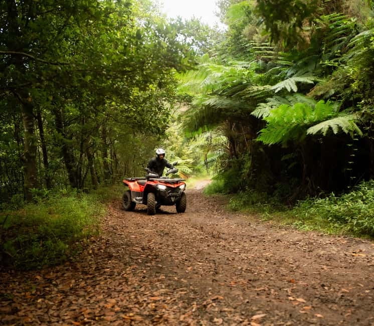 Madeira: Aventura Off-Road de ATV ou Quad - Adrenalina - Key points at a glance