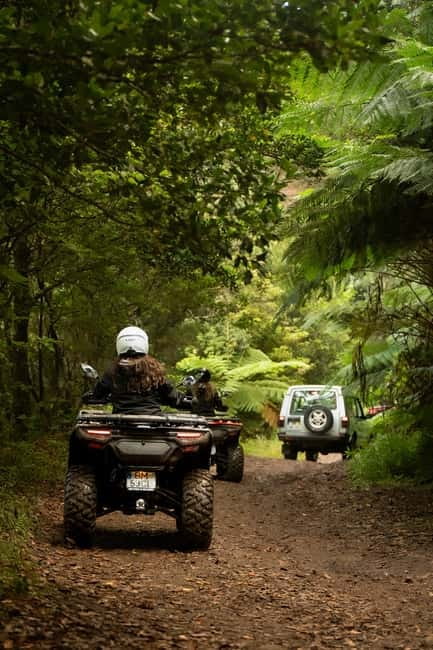 Madeira: Aventura Off-Road de ATV ou Quad - Adrenalina - Price, group size, and what you receive