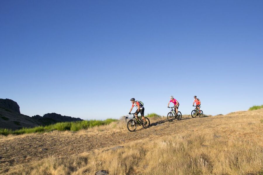 Madeira Botanical Levels Bike Tour – Scenic Trail Experience - Key points to know before booking