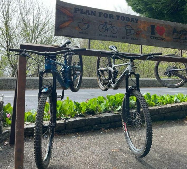 Madeira Botanical Levels Bike Tour – Scenic Trail Experience - How the guides affect the experience
