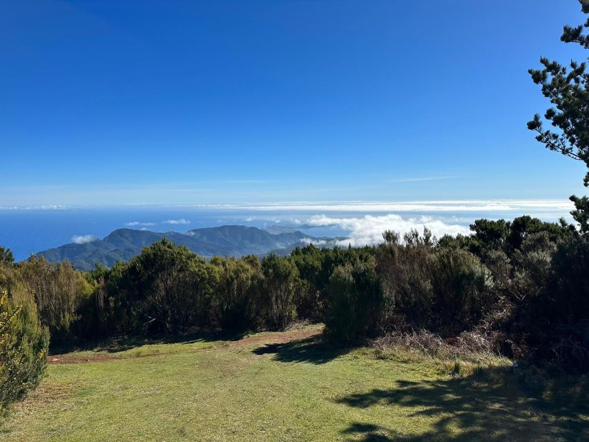 Madeira Botanical Levels Bike Tour – Scenic Trail Experience - Is $94 a fair price for four and a half hours?