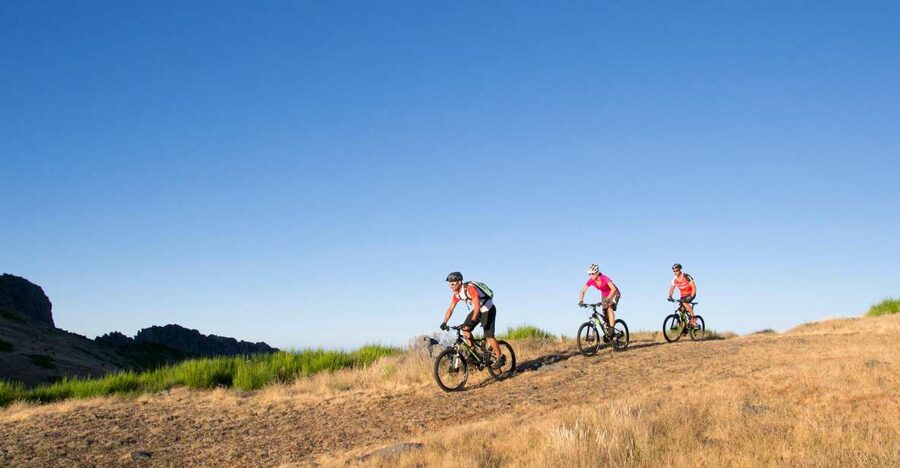 Madeira Botanical Levels Bike Tour – Scenic Trail Experience - Forest trails offer the first real test