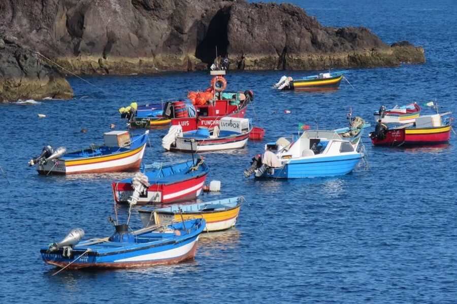 Madeira : Cabo Girao and Camara de Lobo 4WD half-day Tour - Should you book Cabo Girão and Câmara de Lobos?