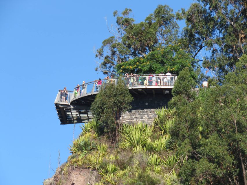 Madeira : Cabo Girao and Camara de Lobo 4WD half-day Tour - Poncha is a tasting, not a full meal