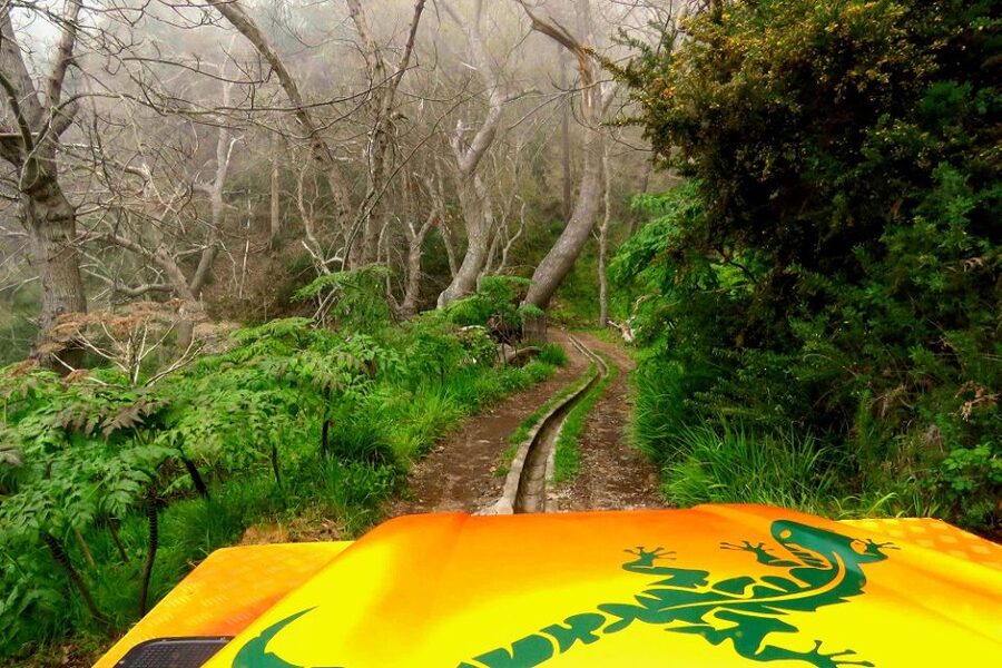 Madeira : Cabo Girao and Camara de Lobo 4WD half-day Tour - Who will enjoy this Madeira half-day tour?