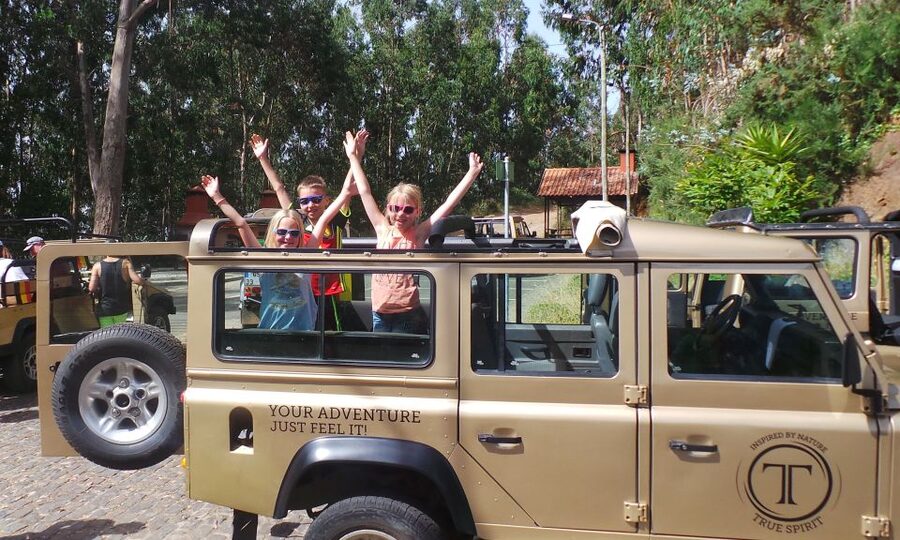 Madeira: Cabo Girao, Jeep Tour Adventure and Wine Tasting - A half-day ride into Madeira’s mountain country