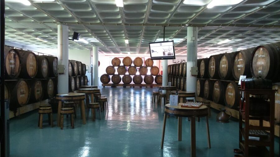 Madeira: Cabo Girao, Jeep Tour Adventure and Wine Tasting - Cabo Girão Skywalk and the 580-meter drop