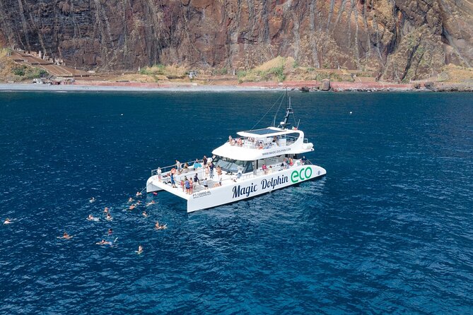 Madeira Dolphin and Whale Watching on a Ecological Catamaran - Key points to know before you book