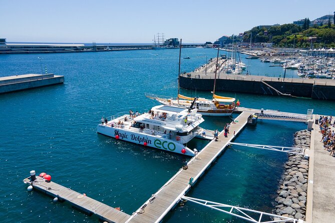 Madeira Dolphin and Whale Watching on a Ecological Catamaran - The catamaran comfort, including its rough edges
