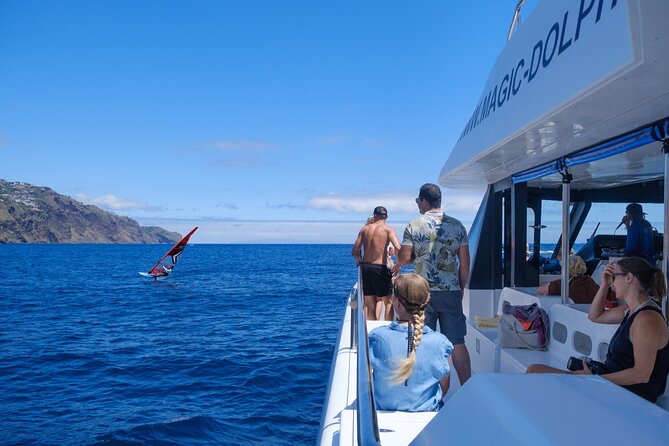 Madeira Dolphin and Whale Watching on a Ecological Catamaran - How the price measures up