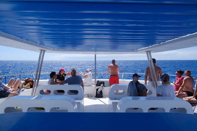 Madeira Dolphin and Whale Watching on a Ecological Catamaran - Who will enjoy this cruise most