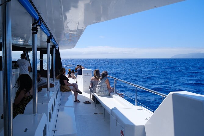 Madeira Dolphin and Whale Watching on a Ecological Catamaran - Booking, weather, and cancellation details
