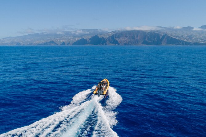 Madeira Dolphin & Whale Watching Tour - The RIB turns the crossing into part of the attraction