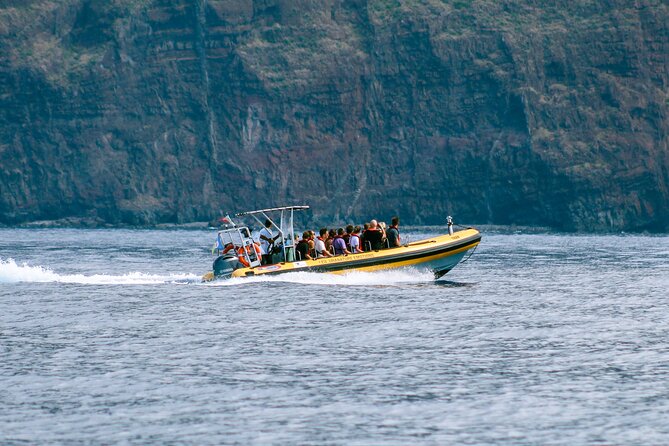 Madeira Dolphin & Whale Watching Tour - Safety, wildlife ethics, and changing weather