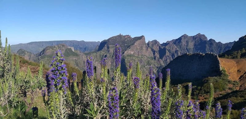 Madeira East Island Tour and Levada Walk - Above Funchal, then up to Pico do Arieiro