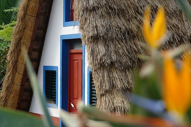 Madeira East Island Tour with Levada Walk and Lunch - A full day from Funchal to Madeira’s eastern mountains