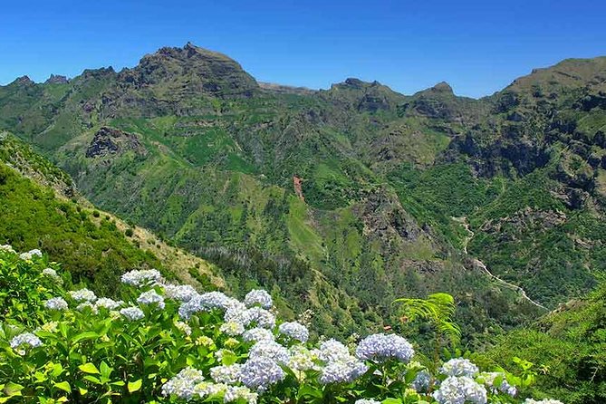 Madeira East Tour from Funchal - Ribeiro Frio brings forest and trout pools
