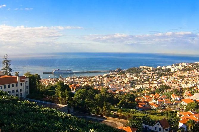 Madeira East Tour from Funchal - The guides make a real difference on Madeira’s roads