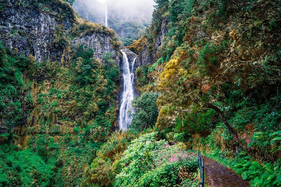 Madeira: Enjoy a Guided Levada Walk in the Rabaçal Valley - Following the levada from Paul da Serra