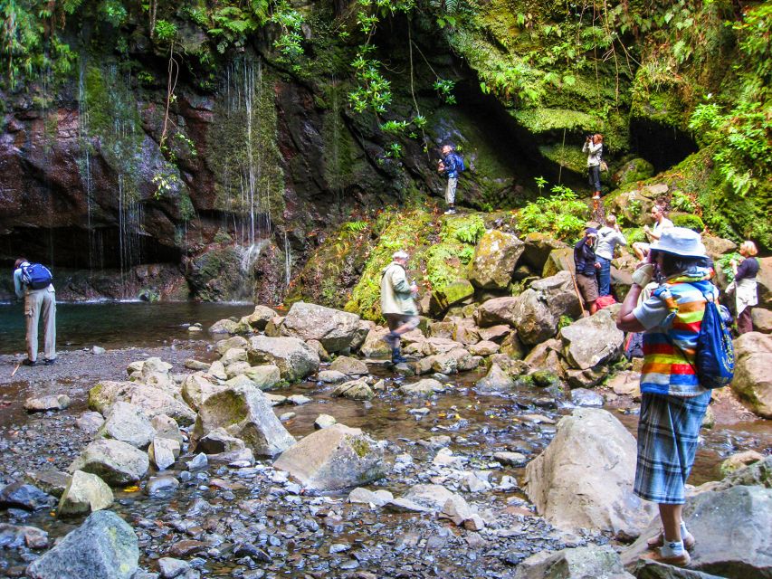 Madeira: Enjoy a Guided Levada Walk in the Rabaçal Valley - Risco Waterfall and the first big views