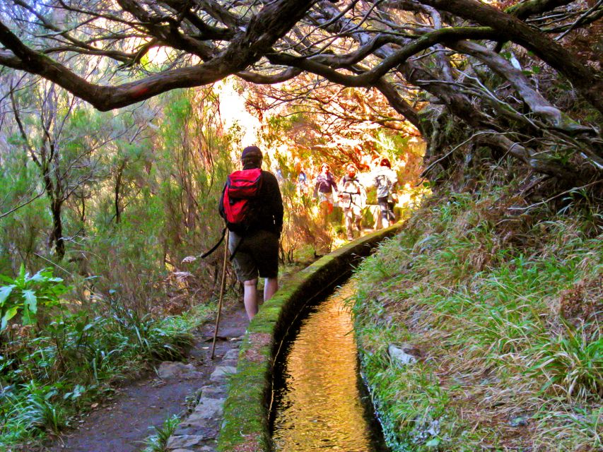 Madeira: Enjoy a Guided Levada Walk in the Rabaçal Valley - What the walking feels like in real terms