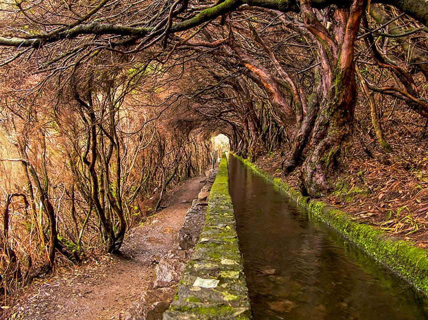 Madeira: Enjoy a Guided Levada Walk in the Rabaçal Valley - Guides, group size, and the value of interpretation
