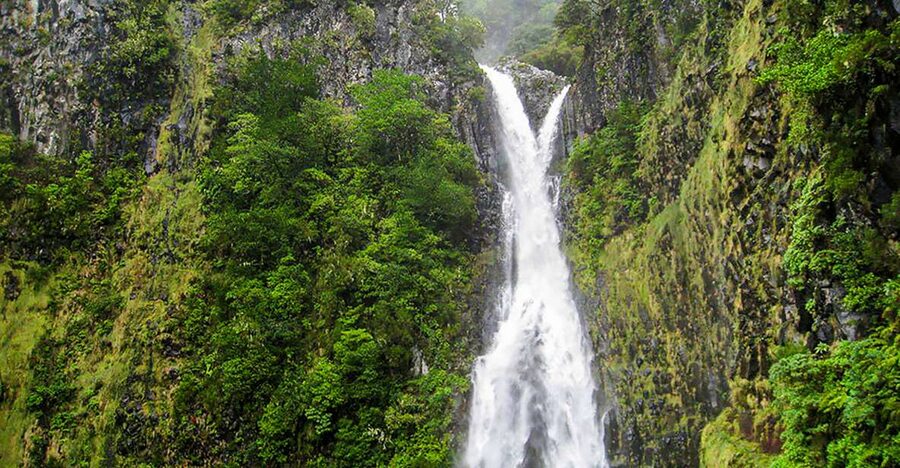 Madeira: Enjoy a Guided Levada Walk in the Rabaçal Valley - Hotel pickup from Funchal and nearby towns