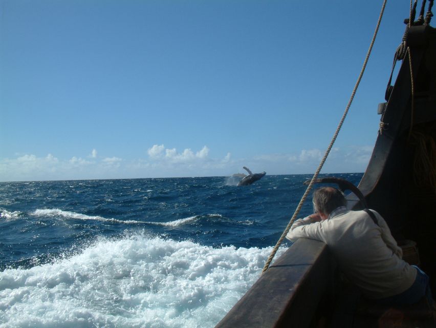 Madeira: Flag Ship Tour aboard Santa Maria de Colombo - The swim stop off Madeira’s coast