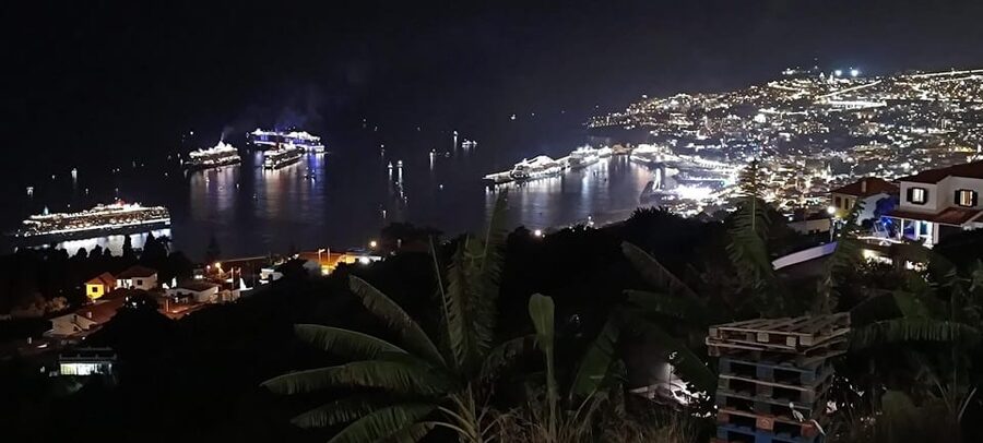 Madeira: Folk Dancing Show and Traditional Local Dinner - Funchal after dark gives the evening a final touch