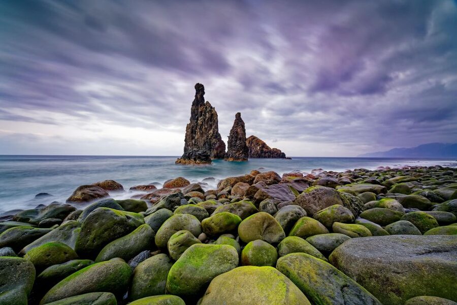 Madeira: Full-Day Jeep Tour, Natural Pools, Seixal & Fanal - São Vicente and the north coast