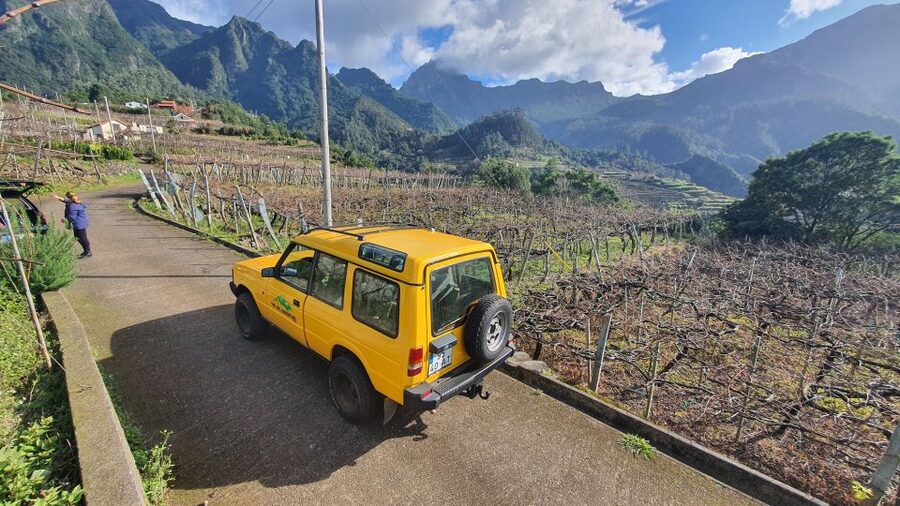 Madeira: Full-Day Jeep Tour with Guide and Pickup - The guides make the long day easier
