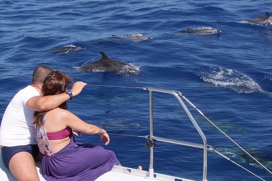 Madeira: Funchal Sunset Tour by Catamaran - Leaving from Praça do Povo and Funchal Marina