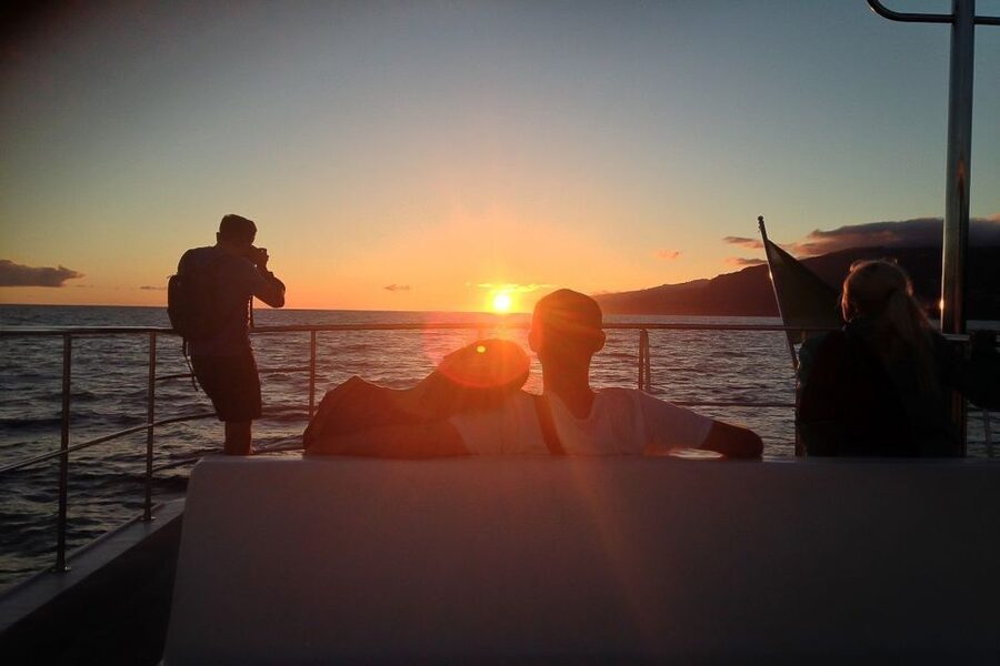 Madeira: Funchal Sunset Tour by Catamaran - Swimming below Cabo Girão