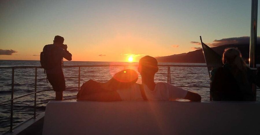 Madeira: Funchal Sunset Tour by Catamaran - Searching for dolphins and whales