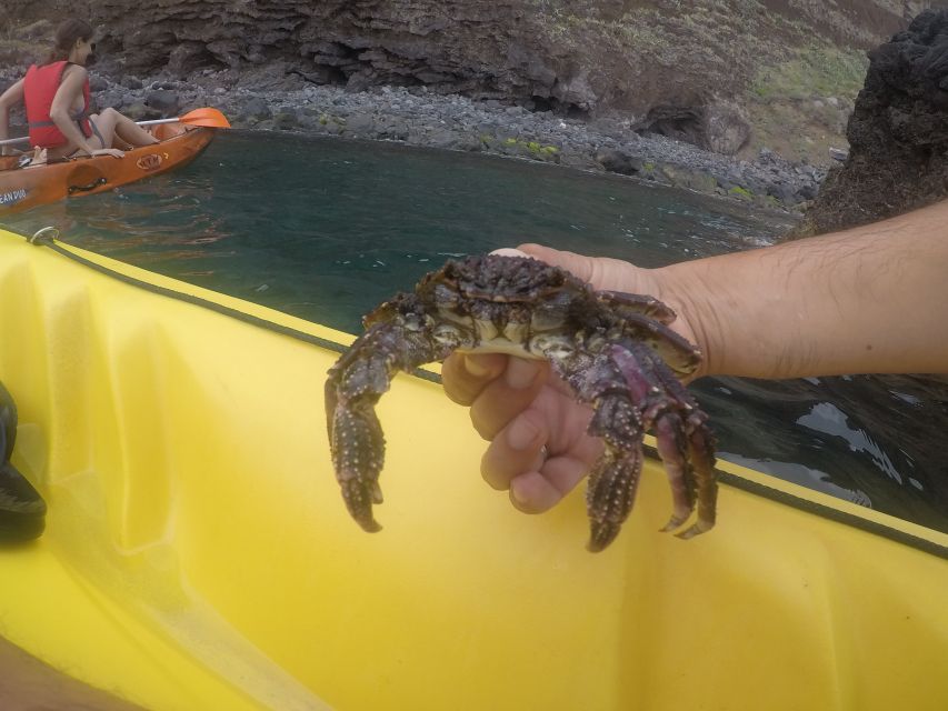 Madeira: Garajau Nature Reserve Kayak and Snorkel Tour - What to bring for a more comfortable outing